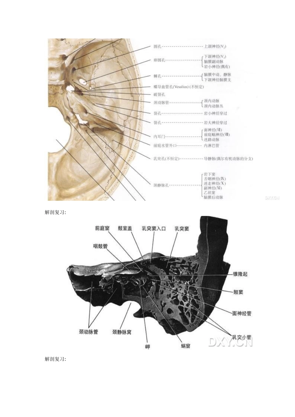 桥小脑角区肿瘤性病变得影像鉴别诊断_第3页