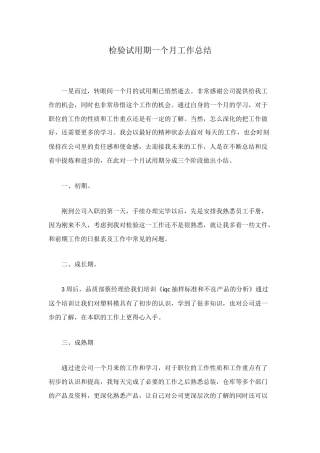 检验试用期一个月工作总结