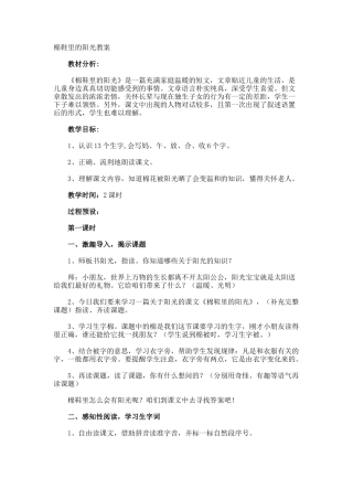 棉鞋里的阳光教案