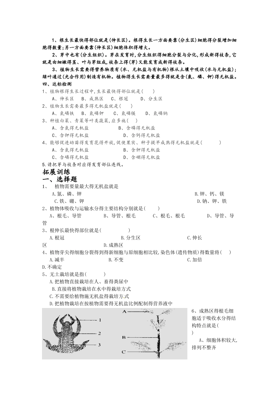 植株的生长导学案_第2页