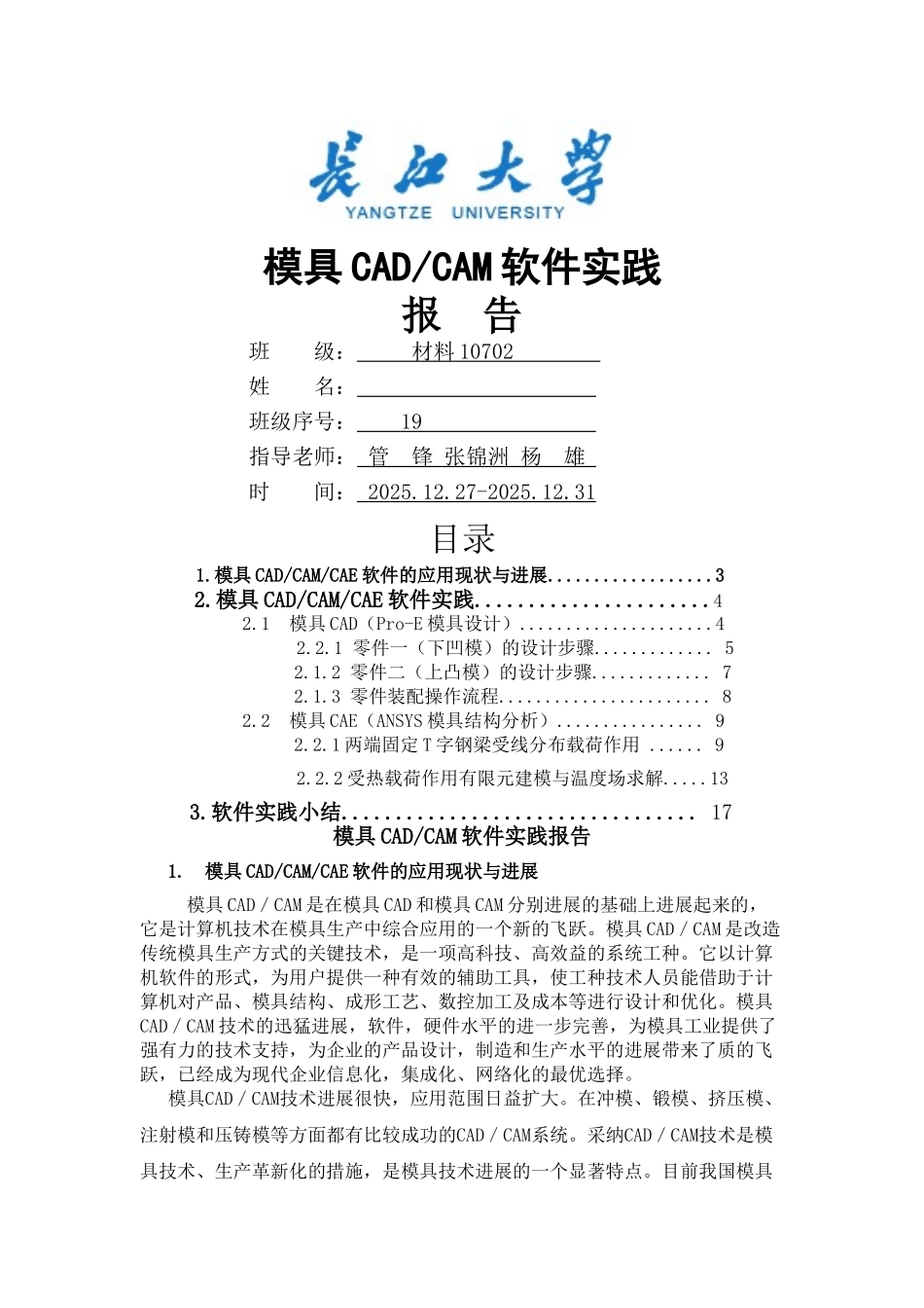 模具CADCAE软件实践报告_第1页