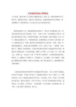 正风肃纪活动心得体会