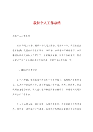 段长个人工作总结
