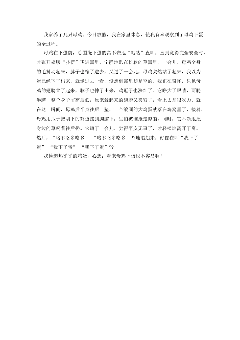 母鸡下蛋作文500字_第2页