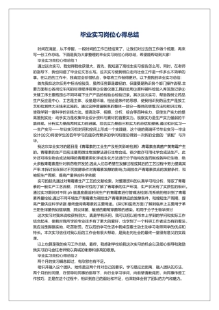 毕业实习岗位心得总结