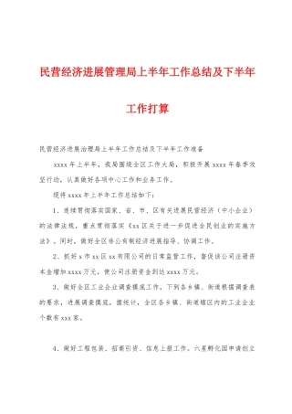 民营经济发展管理局上半年工作总结及下半年工作打算