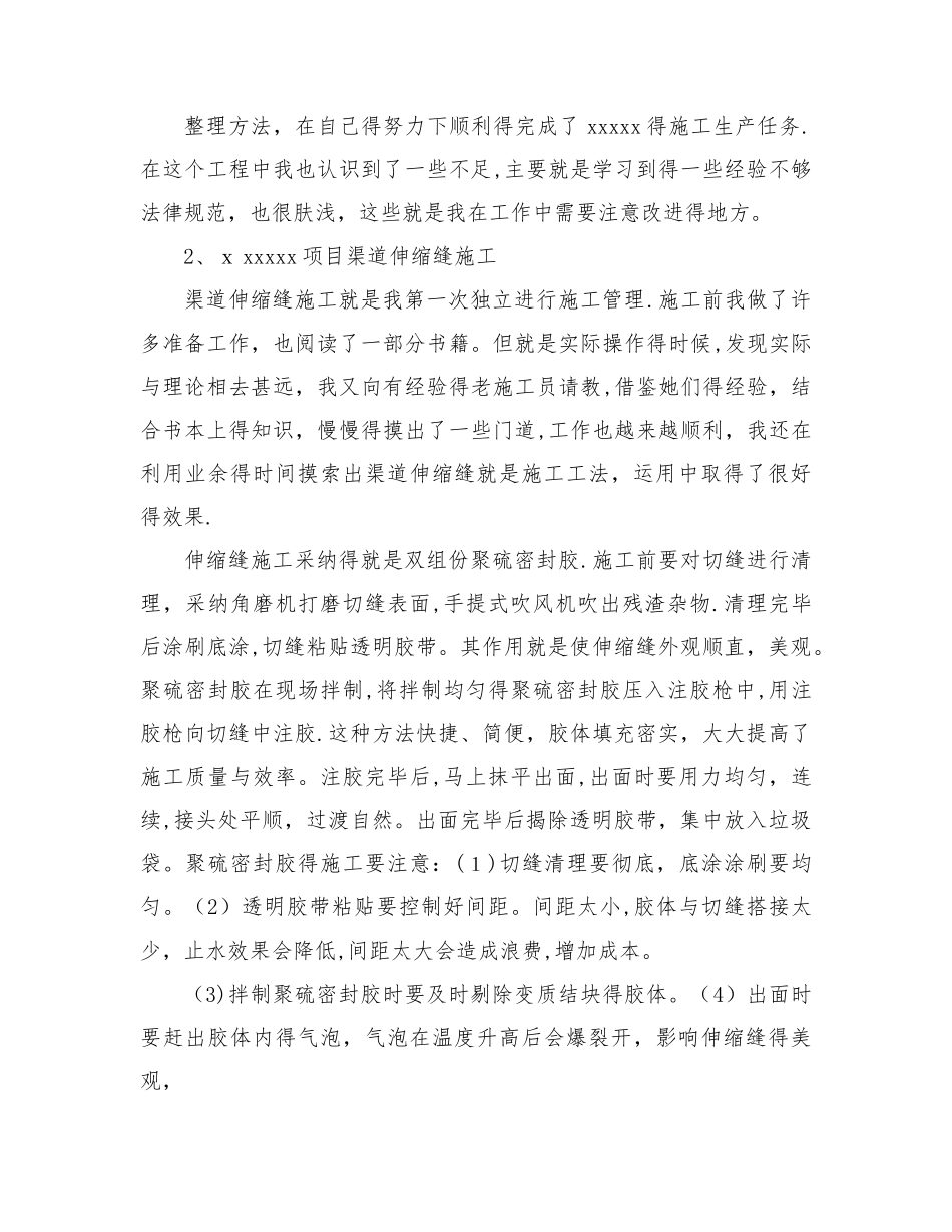 水利职称技术的工作总结_第2页