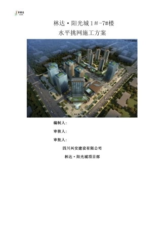 水平挑网施工方案