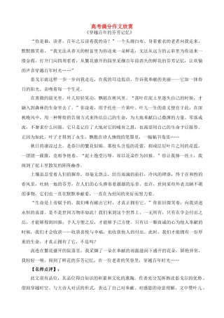 高考语文 满分作文欣赏