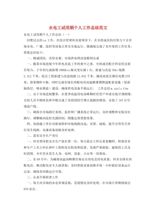 水电工试用期个人工作总结范文