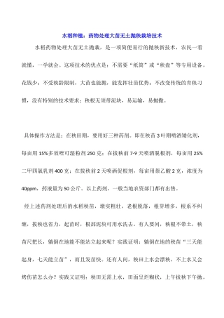 水稻种植：药物处理大苗无土抛秧栽培技术