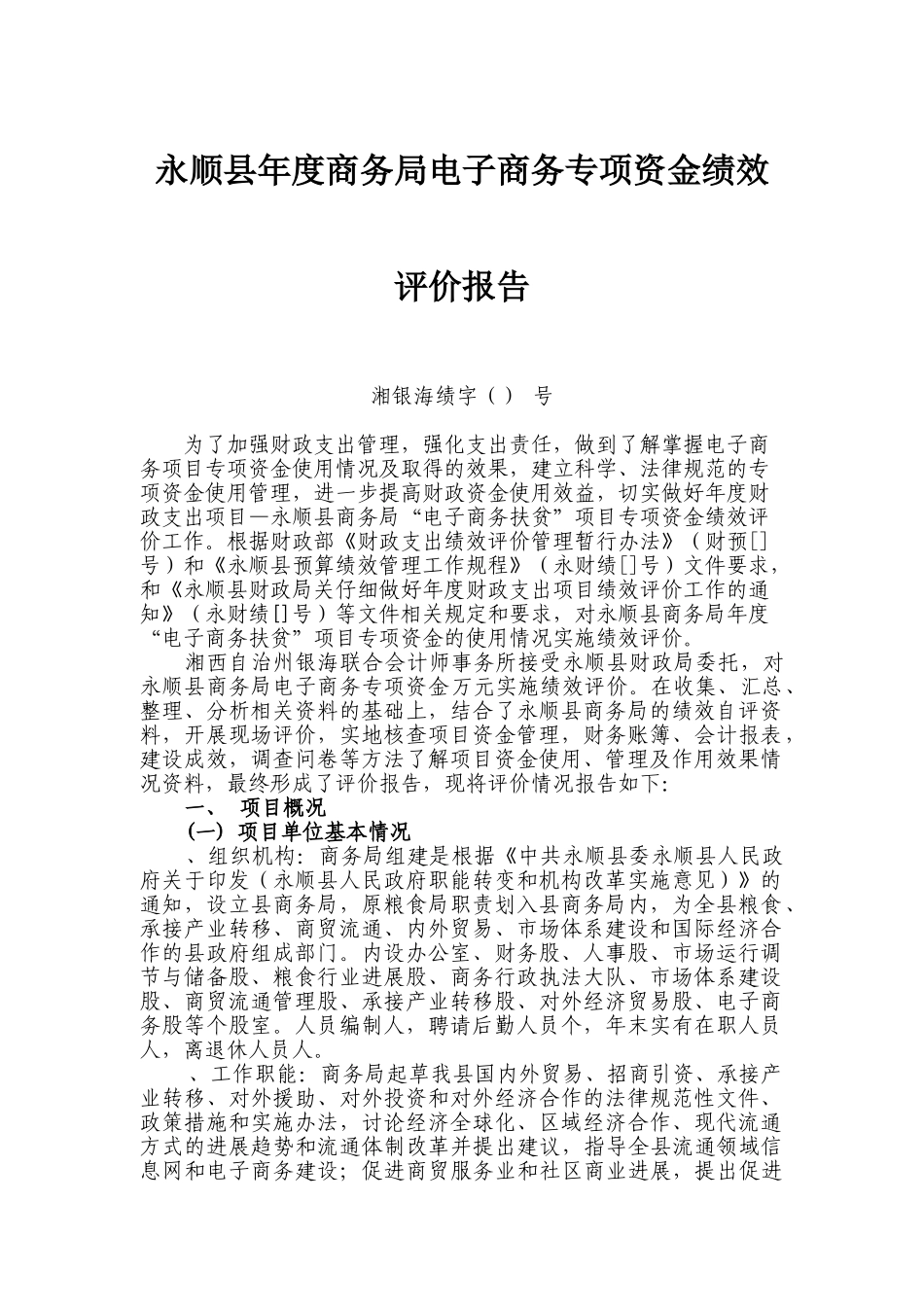 永顺县2025年度商务局电子商务专项资金绩效评价报告_第1页