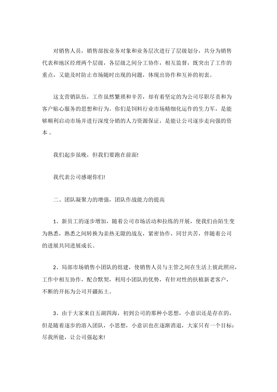 汽车销售经理年底总结_第3页