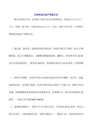 沙地种地瓜高产种植方法