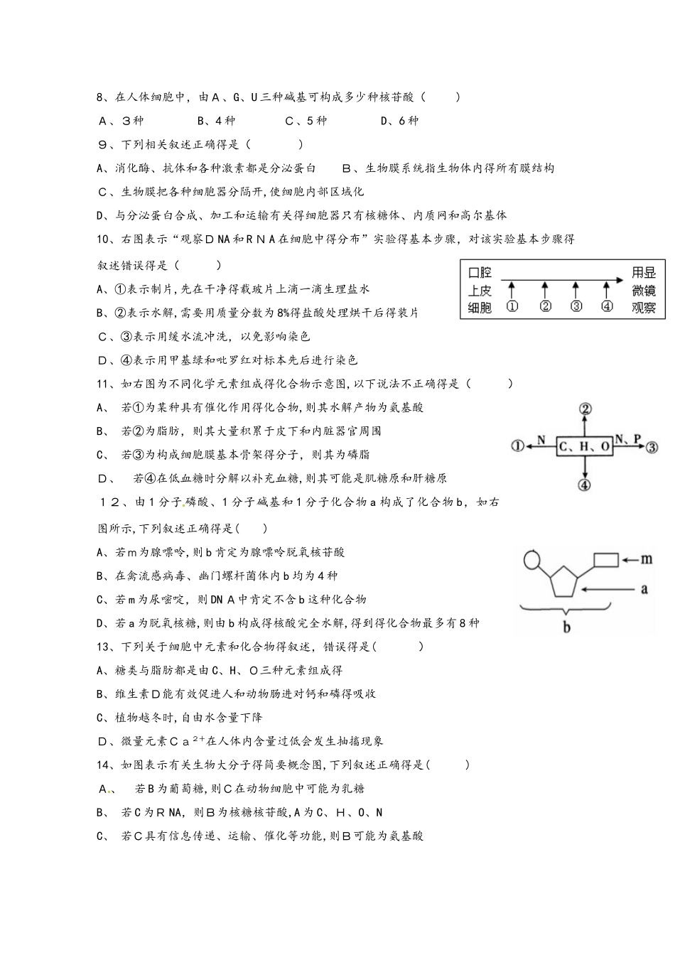 河南省周口中英文学校高一生物上学期期中试题_第2页