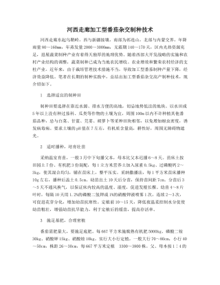 河西走廊加工型番茄杂交制种技术