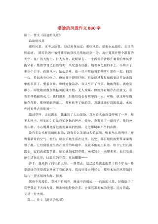 沿途的风景作文800字