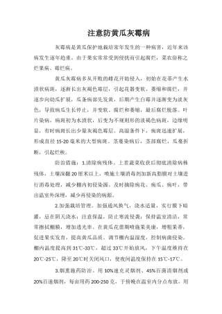 注意防黄瓜灰霉病