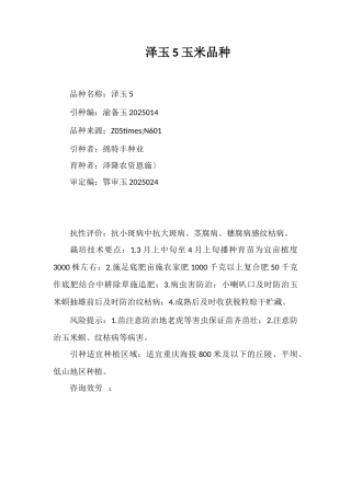 泽玉5号玉米品种