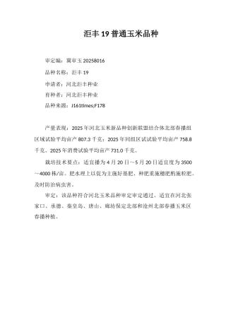 洰丰19普通玉米品种