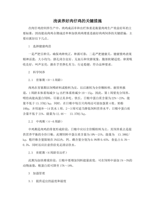 浅谈养好肉仔鸡的关键措施