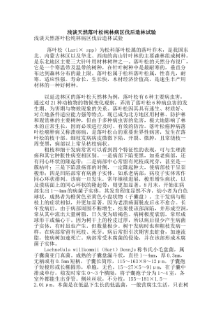 浅谈天然落叶松纯林病区伐后造林试验