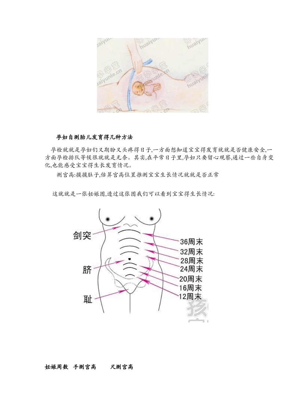 测量宫高和腹围_第2页