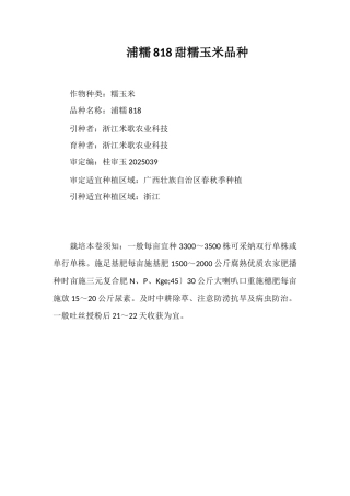 浦糯818甜糯玉米品种