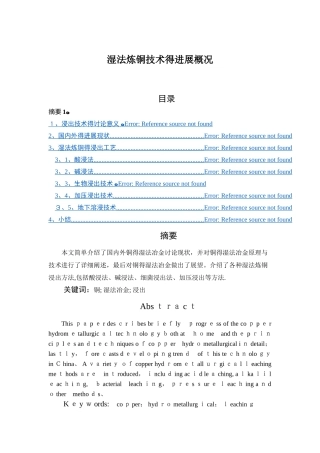 浸出技术的发展概况