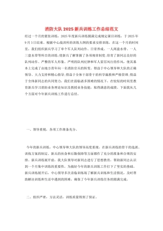 消防大队2025新兵训练工作总结范文