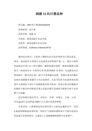 润源11号向日葵品种