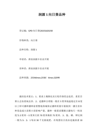润源1号向日葵品种