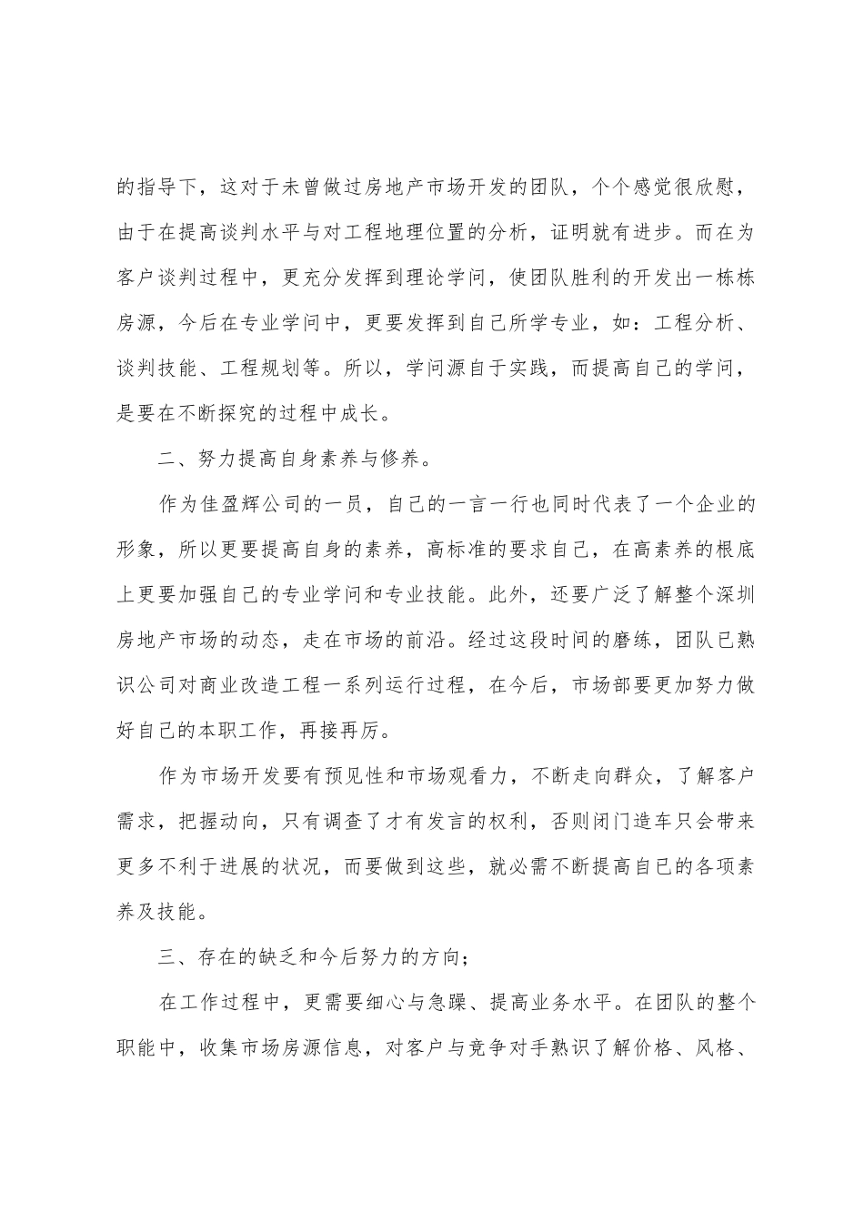 深圳佳盈辉实业有限公司年度总结报告_第2页