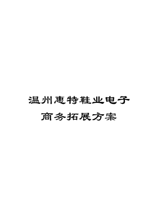 温州惠特鞋业电子商务拓展方案模板