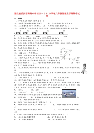 湖北省武汉市梅苑中学－2025学年八年级物理上学期期中试卷