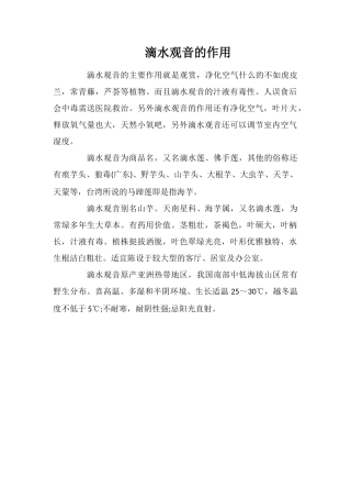 滴水观音的作用
