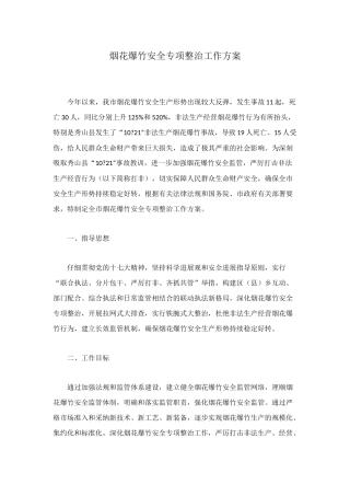 烟花爆竹安全专项整治工作方案