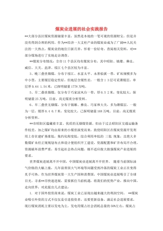 煤炭业发展的社会实践报告