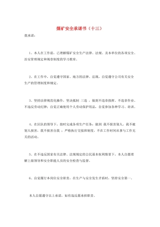 煤矿安全承诺书(十三)
