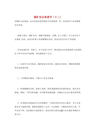 煤矿安全承诺书(十二)