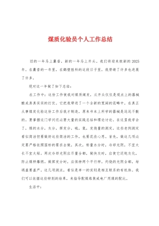 煤质化验员个人工作总结