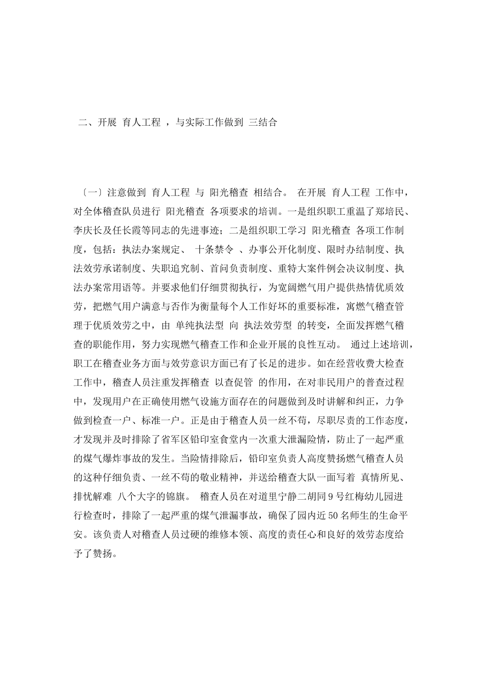 燃气稽查大队工作总结_第2页
