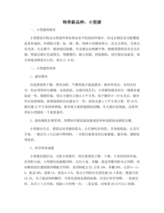 特养新品种：小型猪