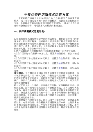 特产店新模式运营方案