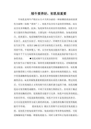 犊牛要养好-初乳很重要