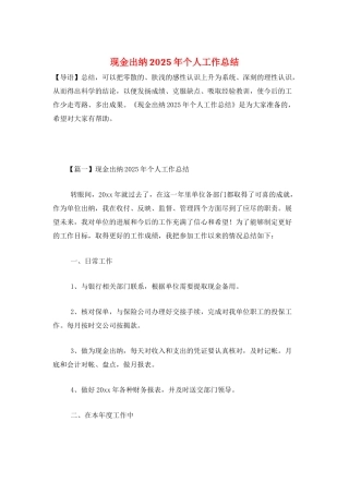 现金出纳2025年个人工作总结