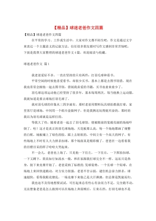 球迷老爸作文四篇