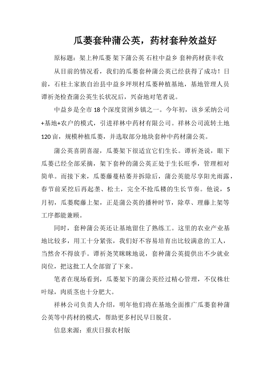 瓜蒌套种蒲公英-药材套种效益好_第1页