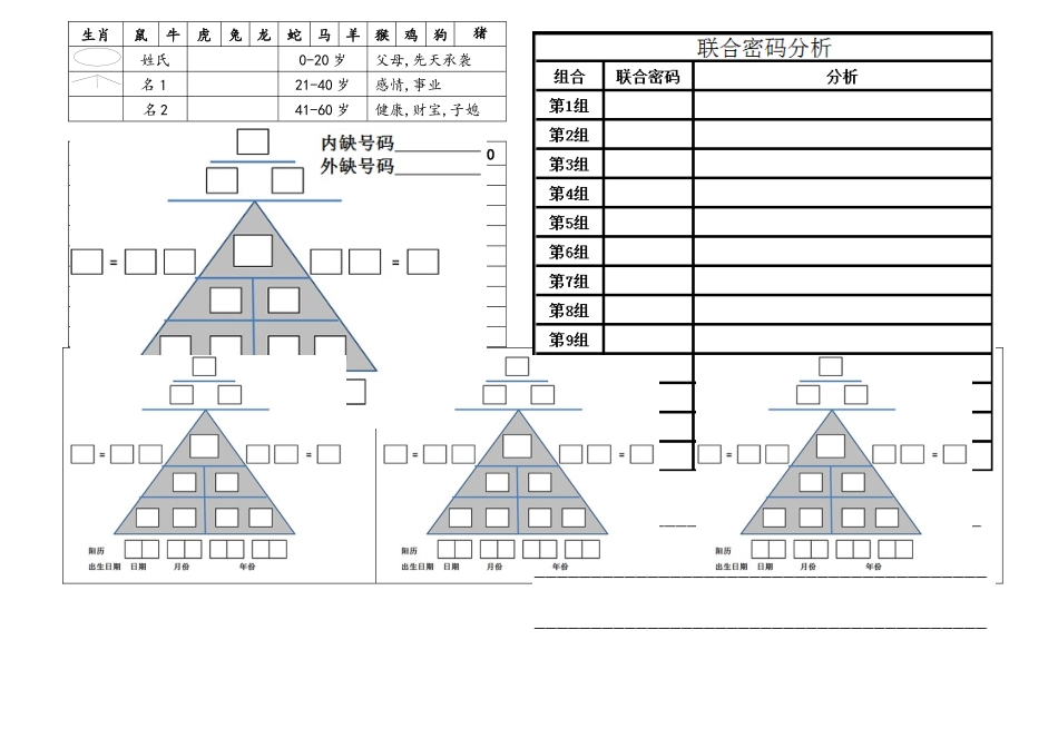 生命密码分析表_第1页