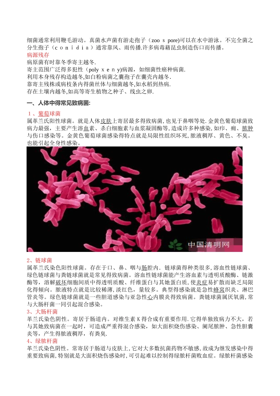 生活中有哪些常见的致病菌_第3页